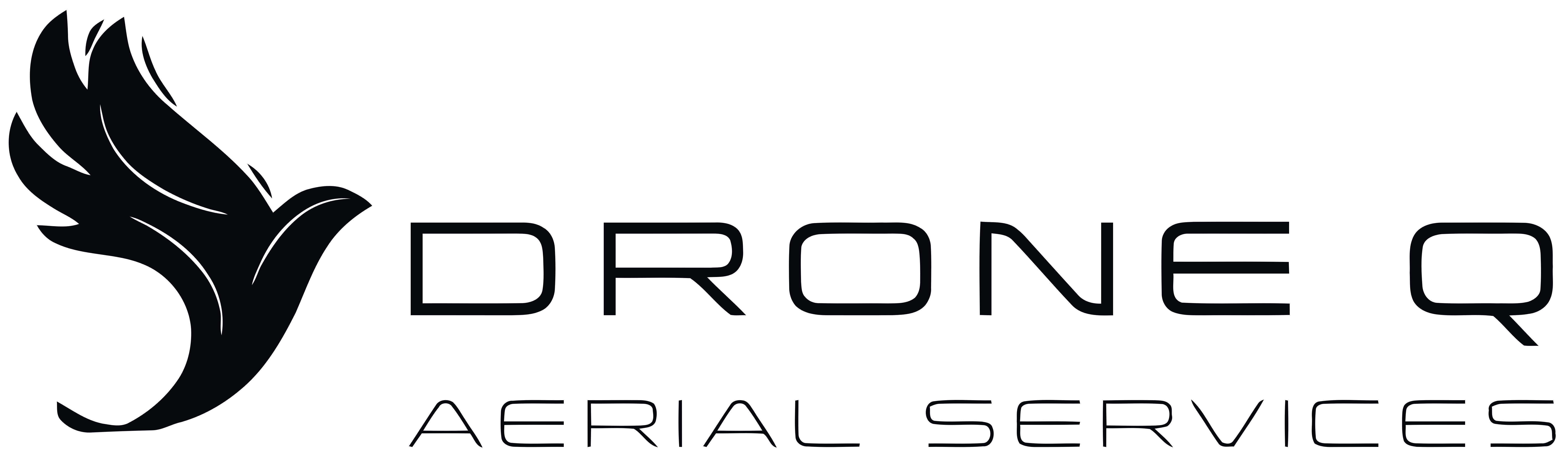 Logo DroneQ