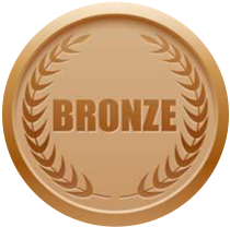 Sponsor2_bronze